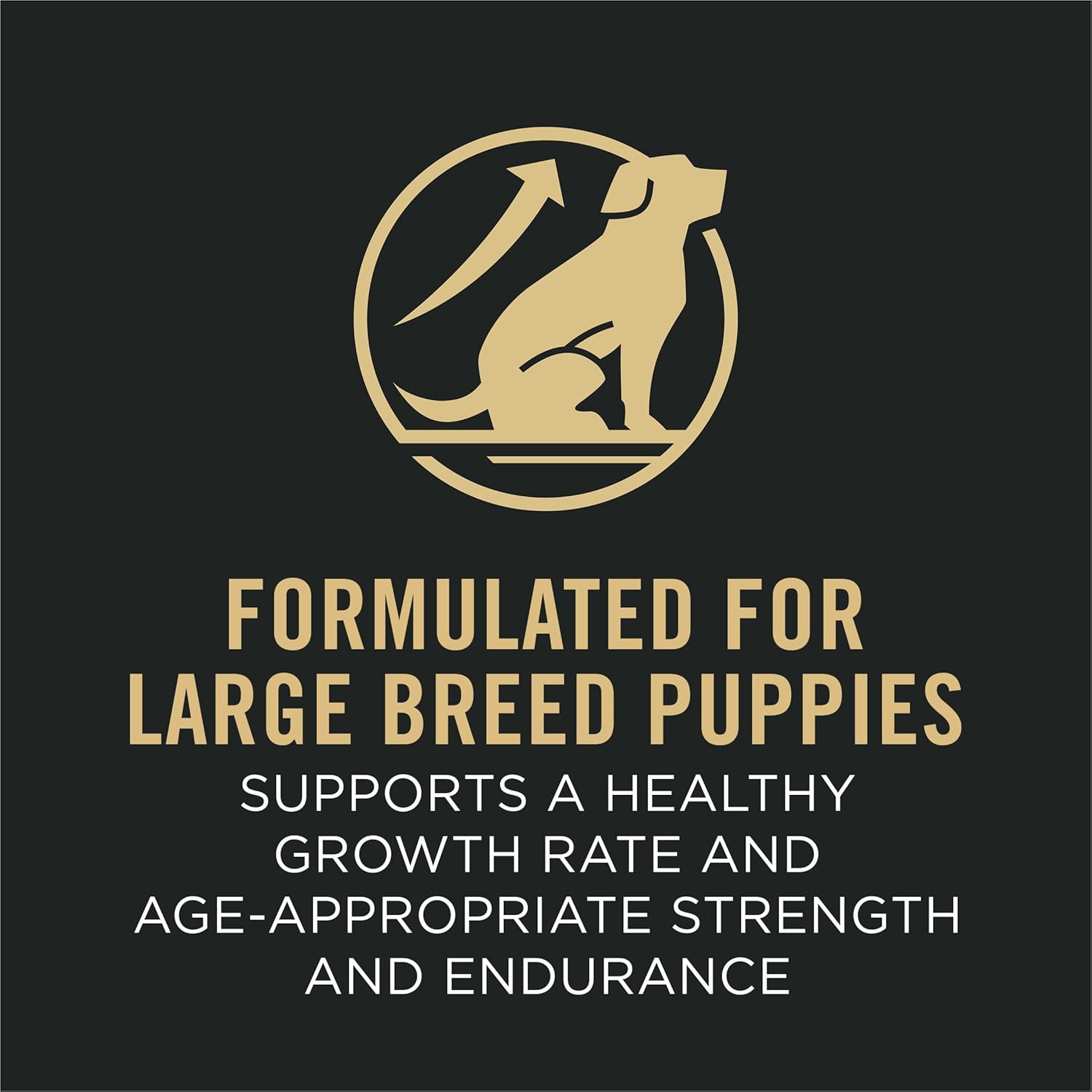 purina pro plan puppy large breed