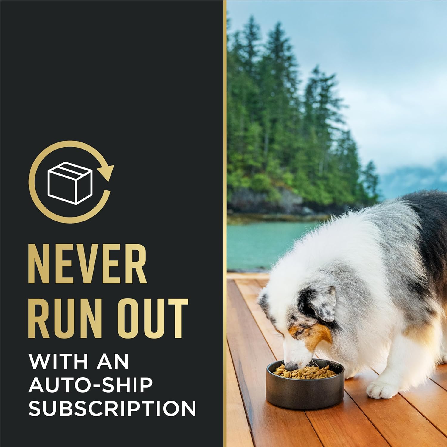purina pro plan dog food