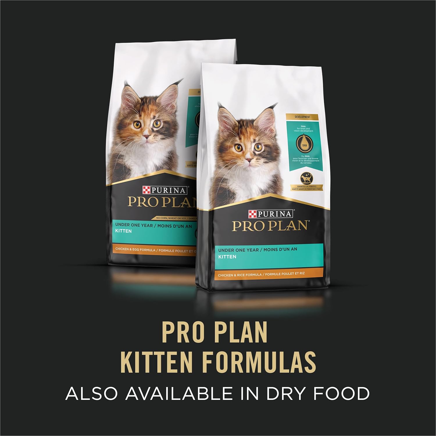 purina pro plan kitten