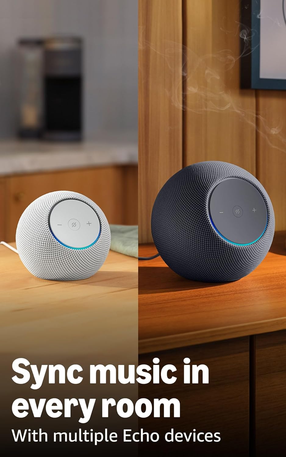 Alexa Smart Speaker Alexa Smart Speaker